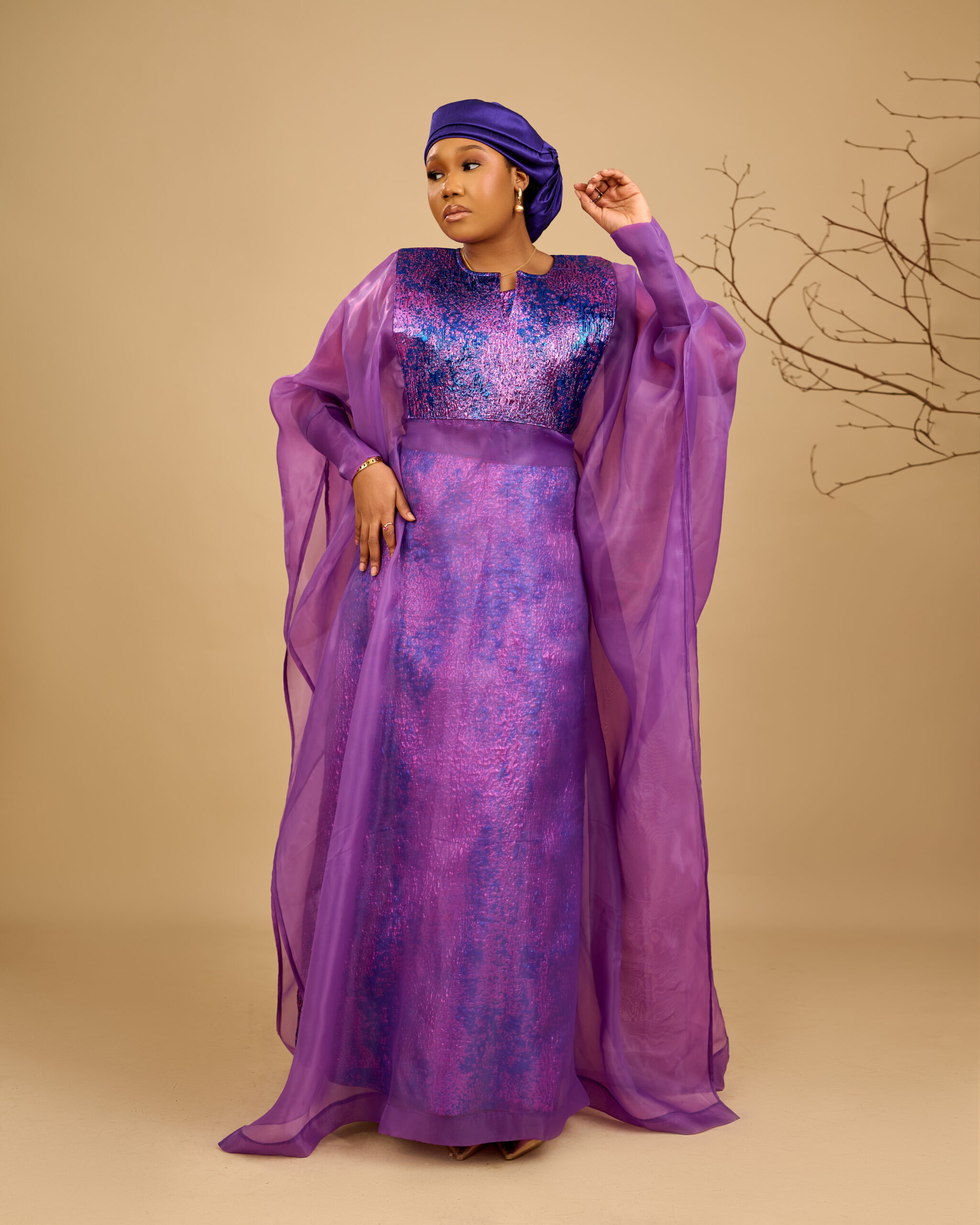 MEENA Brocade Organza set